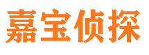 江安市私家侦探